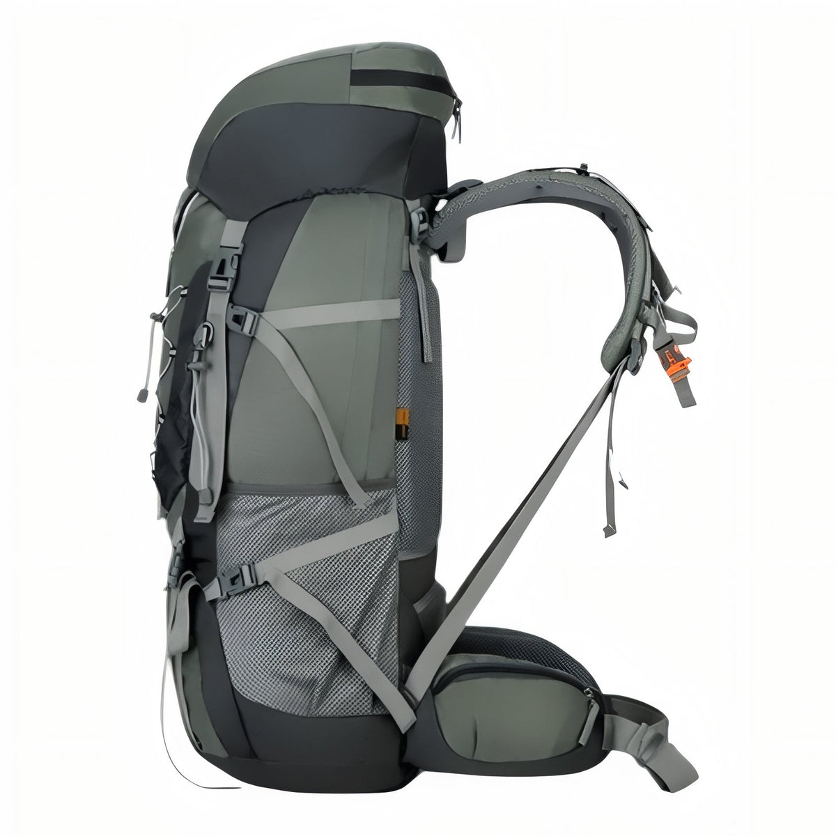 Sac à Dos Imperméable Randonnée 75L gros plan sangle et dos - Vert Foncé - Bleu Marine - Bleu Océan - Noir